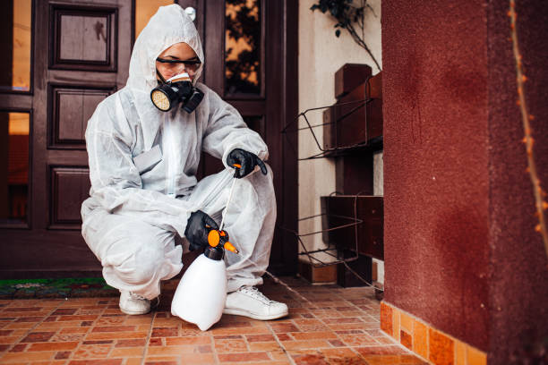 Reliable Wasp Removal contractor in Sunland Park, NM by Show Me Pest Control